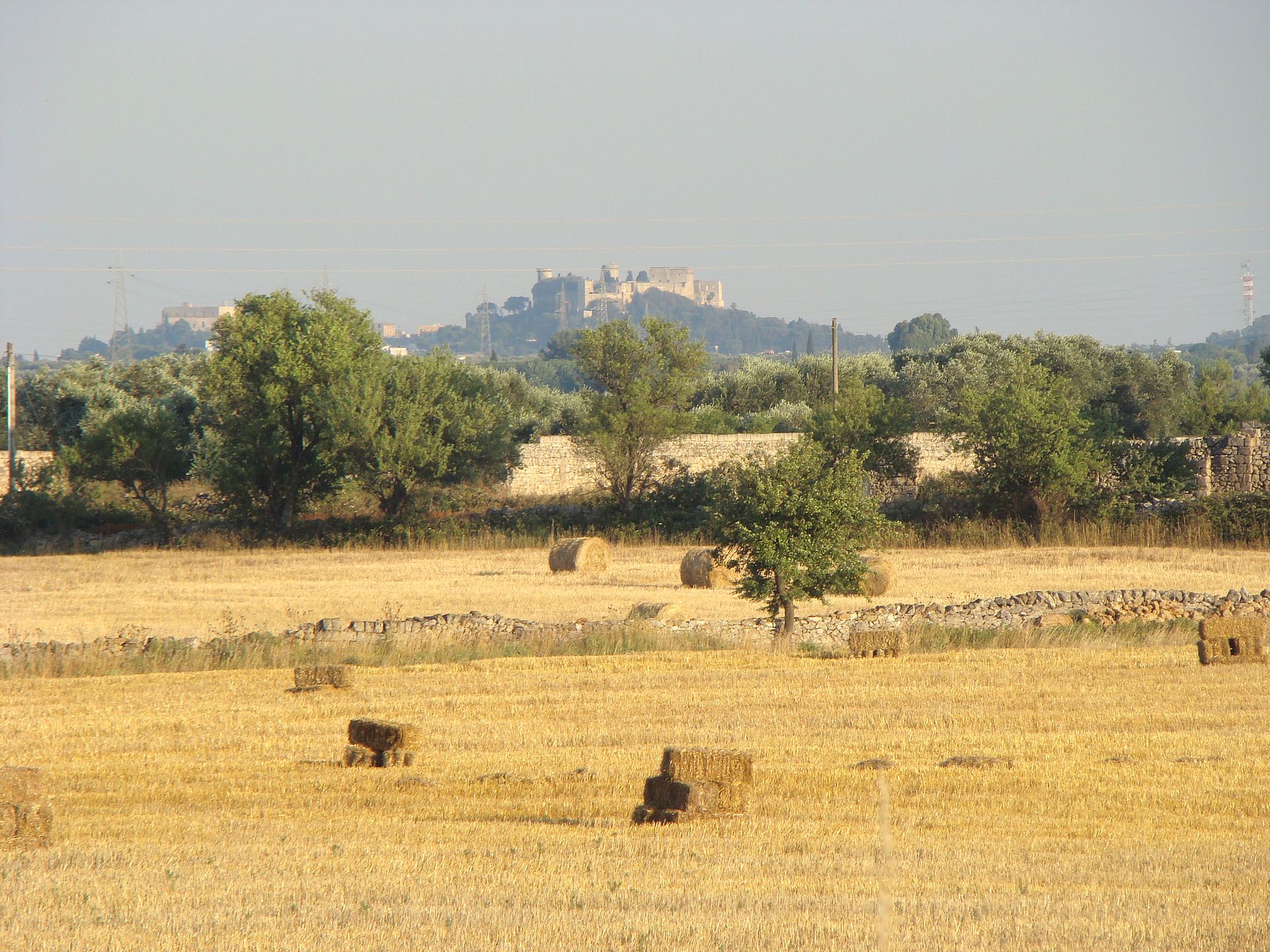 Oria